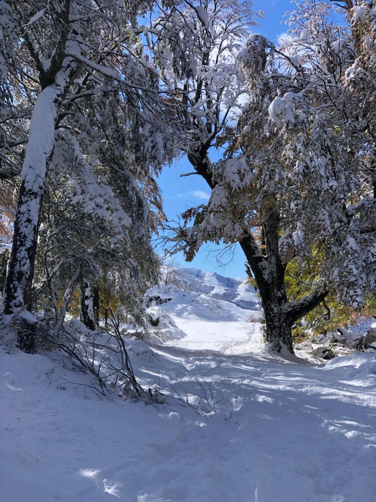 Cabana El Maqui San Martín de los Andes المظهر الخارجي الصورة